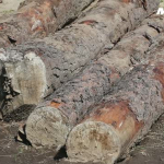 UTVVideoFinal2018UpdateV1.mp4